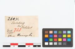 Etikett zu Bronzering (NHMW-PRAE-026031)